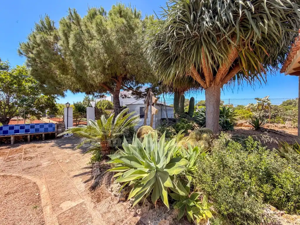 Jardí de Finca rústica en venda en Ciutadella de Menorca amb Aire condicionat i Terrassa