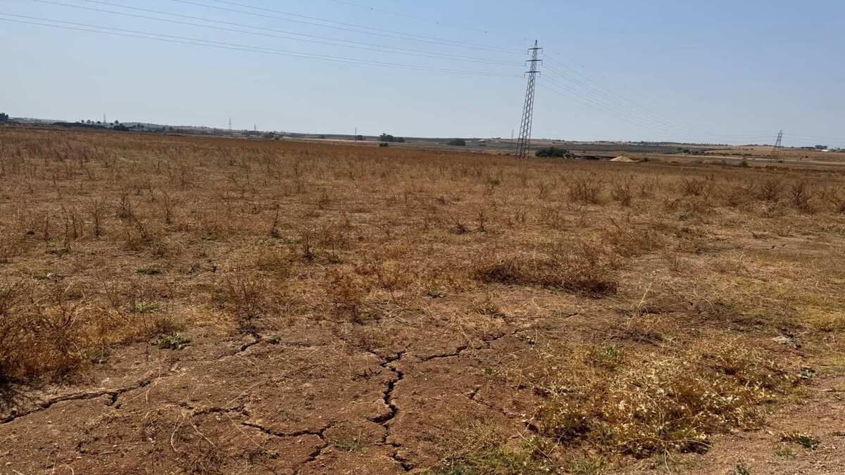 Residential for sale in Alcalá de Guadaira