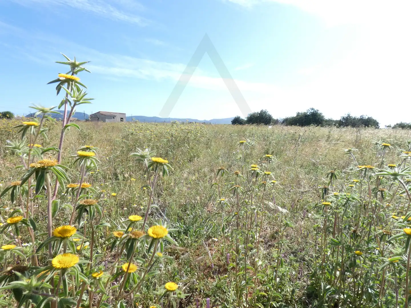 Terreni e lotti in vendita a Pedanías Oeste, imagen 24