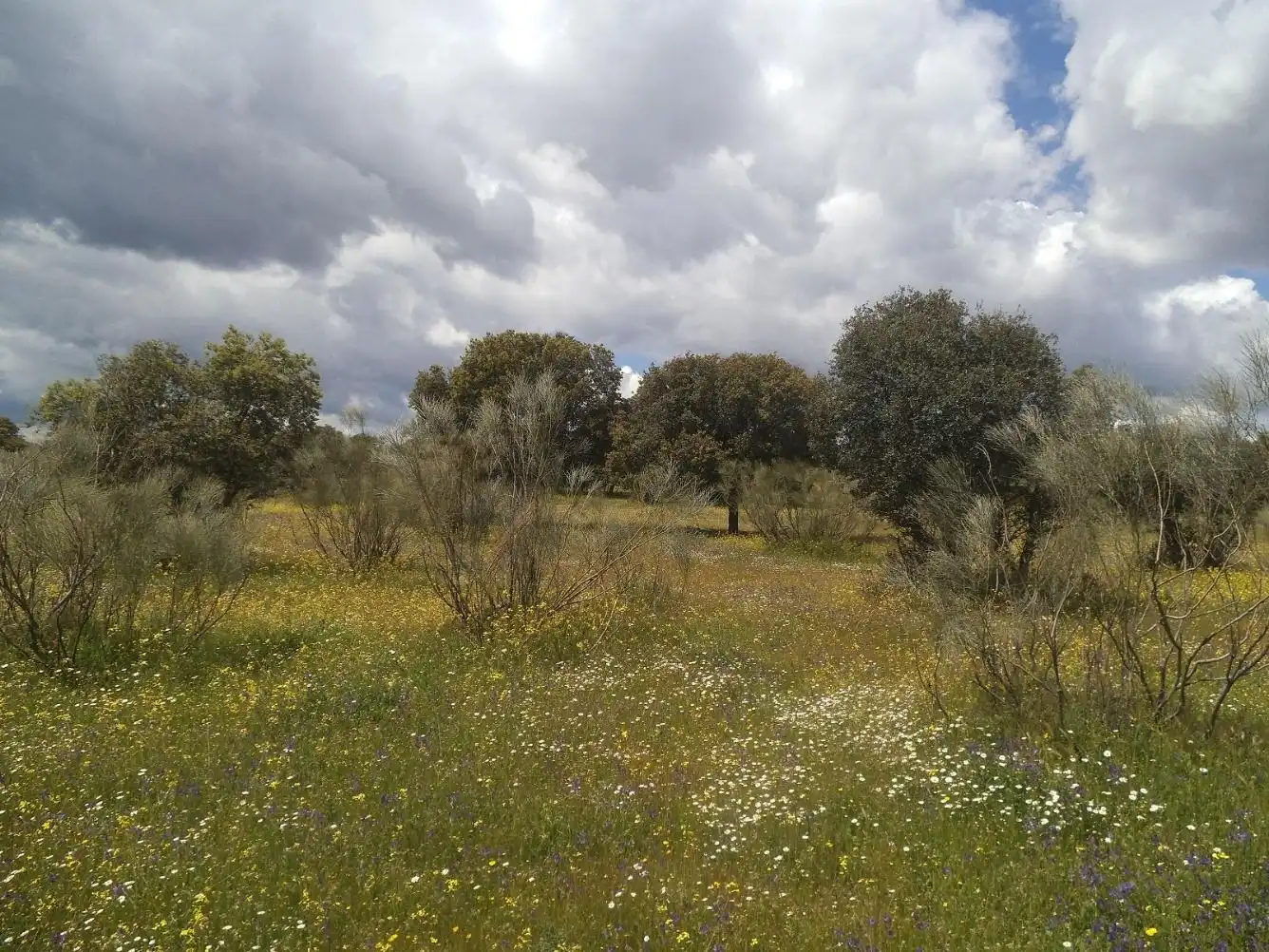 Residencial en venda en Valdemorillo