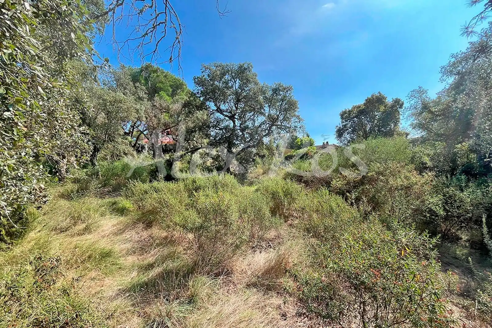 Rural land for sale in Mas Santet, imagen 5