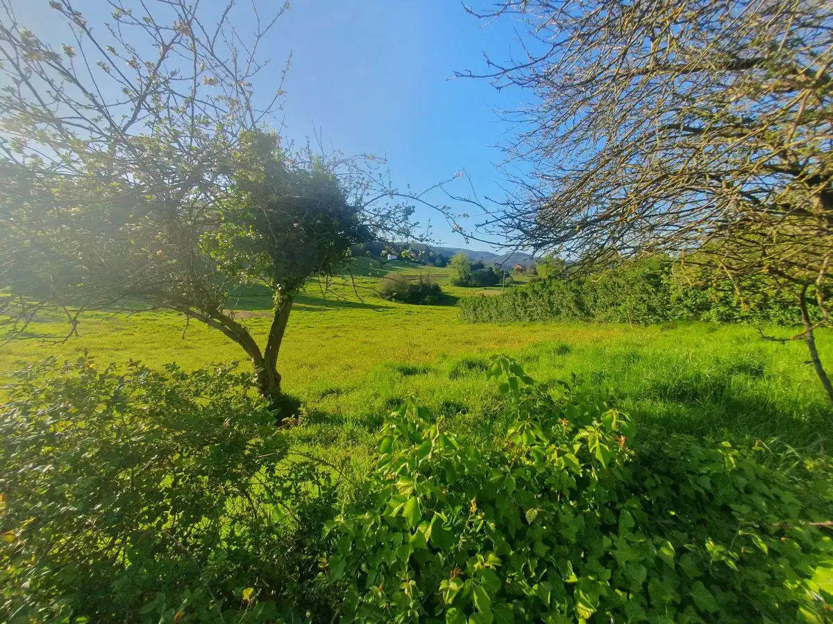 Terrenos y solares en venta en Salas, imagen 7