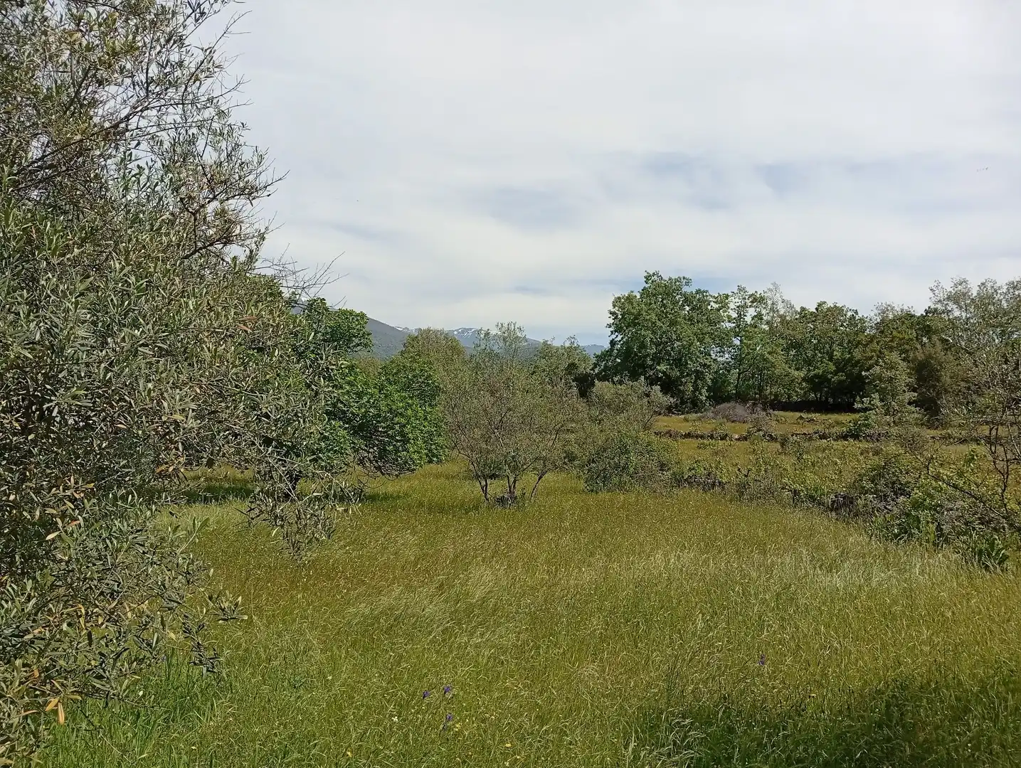 Terreni e lotti in vendita a Villanueva de la Vera, imagen 67