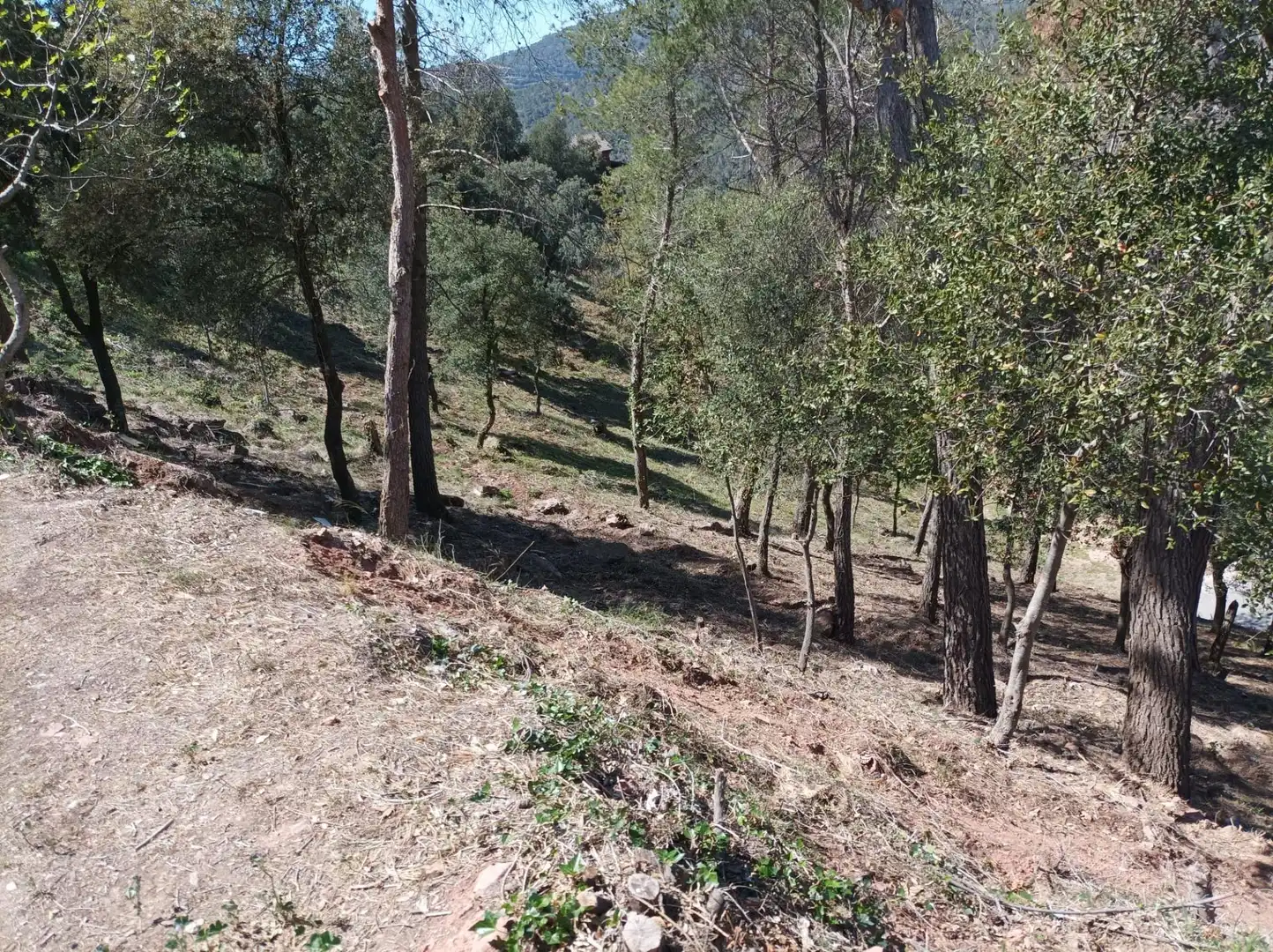 Wohnbaugrundstück zum Verkauf in El Racó - Sant Feliu del Racó