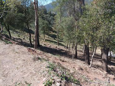 Terreno residenziale in vendita a El Racó - Sant Feliu del Racó