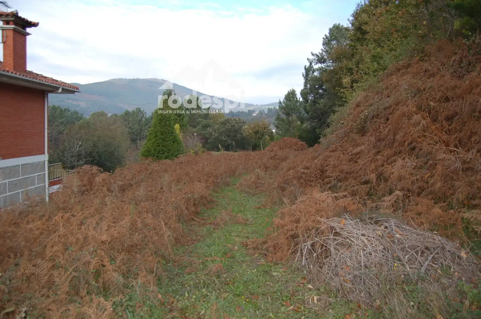 Terrain rustique à vendre à As Neves, imagen 4
