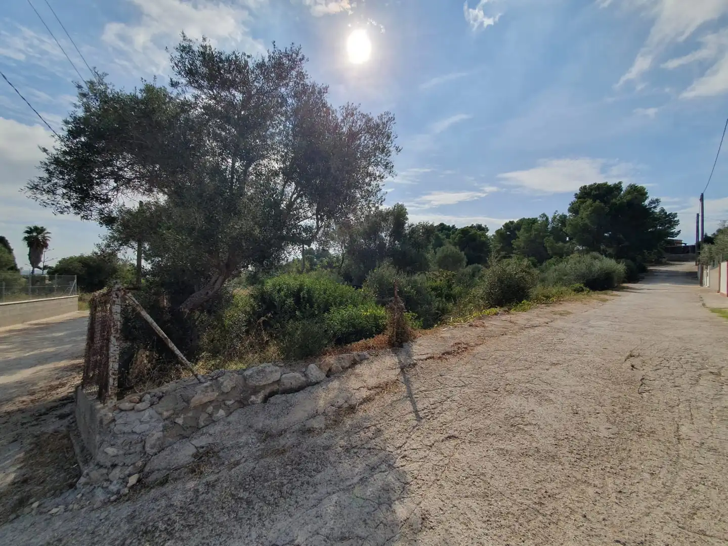 Terrain rustique à vendre à Carrer Riu Francolí 44, imagen 3