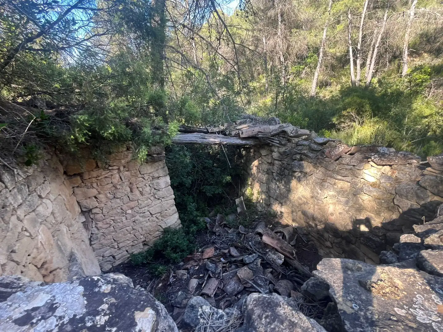 Terreni e lotti in vendita a Arens de Lledó, imagen 3