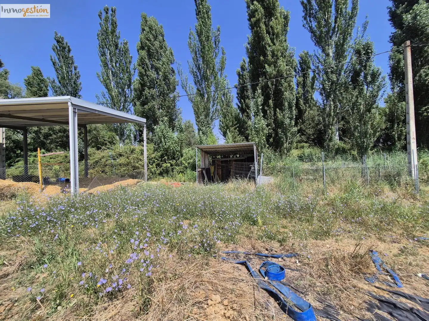 Fabrikhallen zum Verkauf in Tudela de Duero