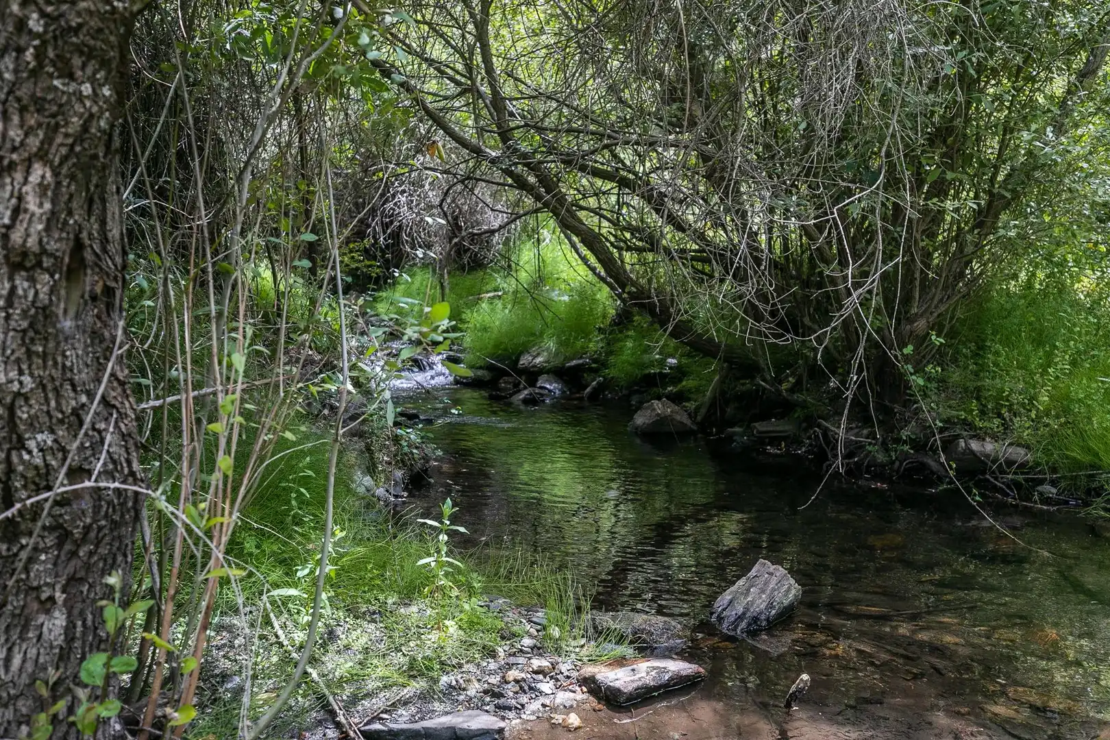 Terreni e lotti in vendita a Majadillas