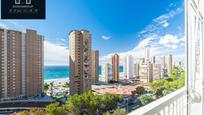 Vista exterior de Estudi en venda en Benidorm amb Aire condicionat, Calefacció i Jardí privat