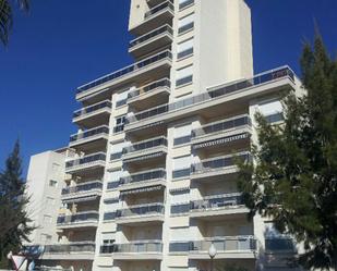 Vista exterior de Garatge en venda en Guardamar del Segura