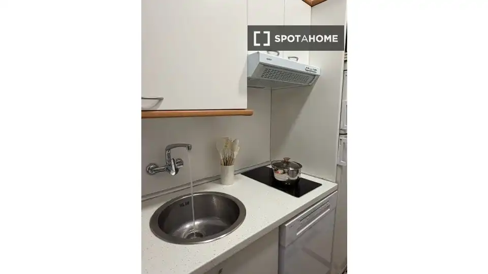 Cuina de Apartament per a compartir en Madrid amb Aire condicionat, Terrassa i Moblat