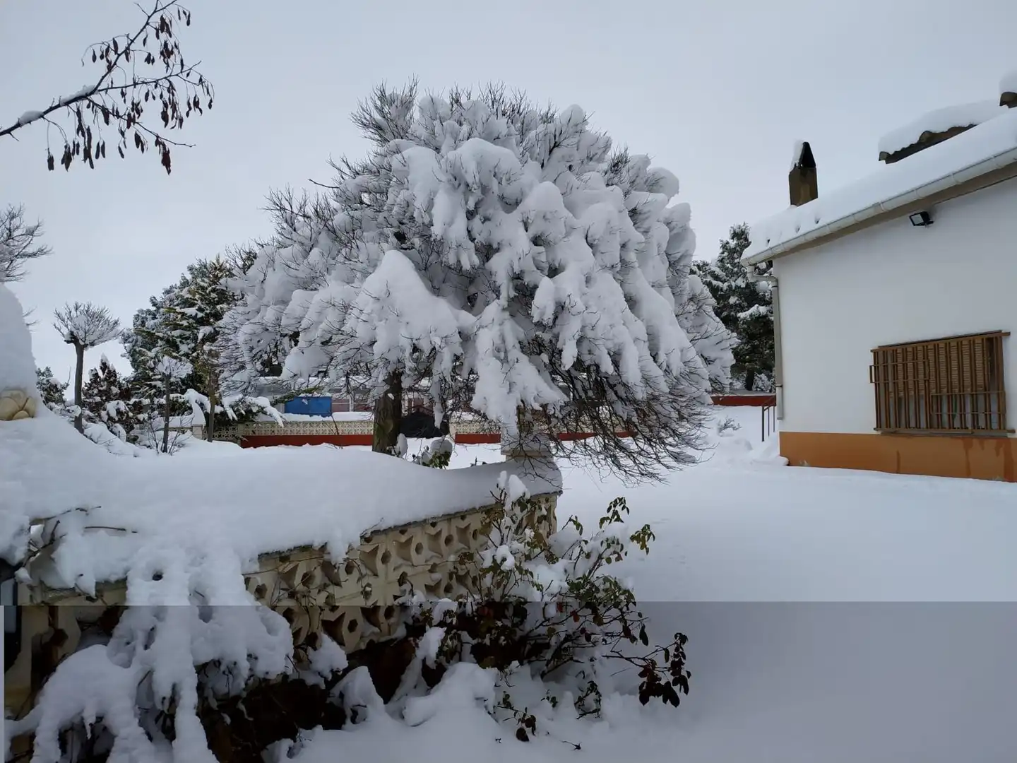 Jardín de Casa o chalet en venta en Teruel con Calefacción, Jardín privado y Parquet