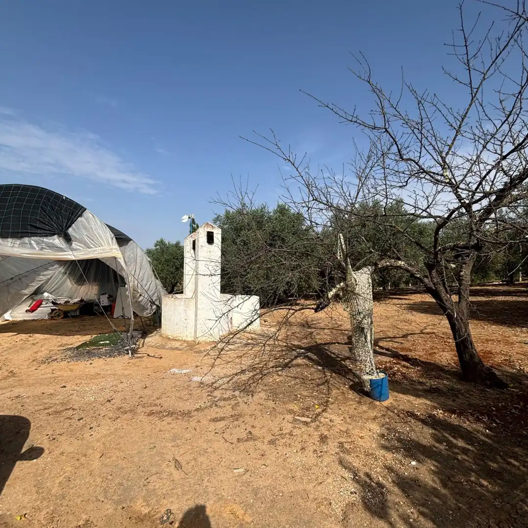 Finca rústica en venda en Almonte