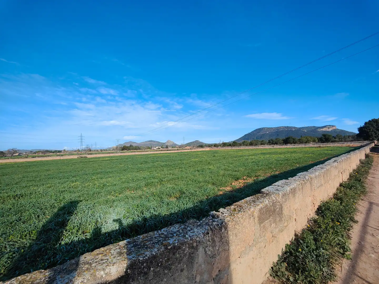 Terreno en venta en Llucmajor