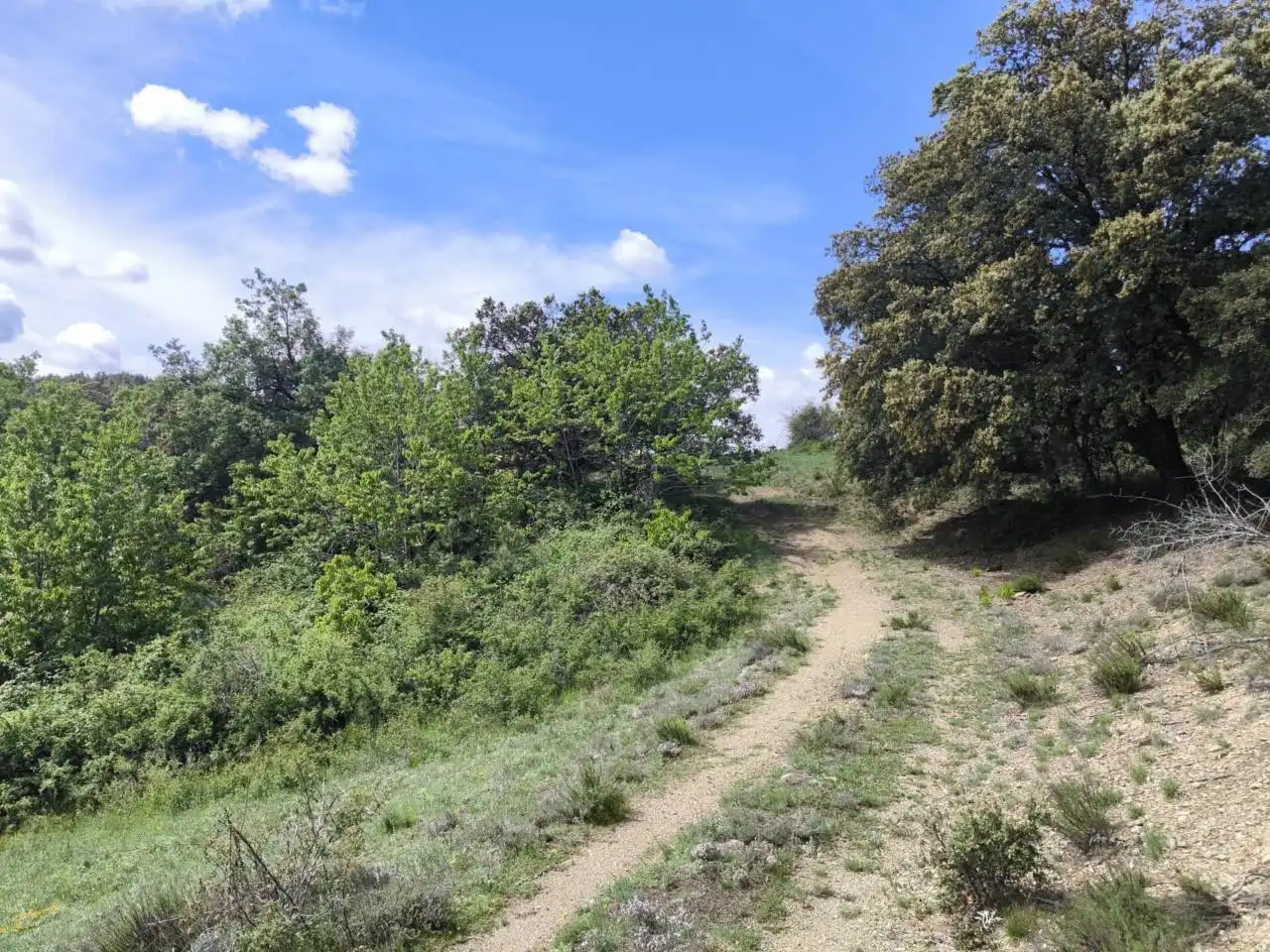 Country homes for sale in Ribera d'Urgellet