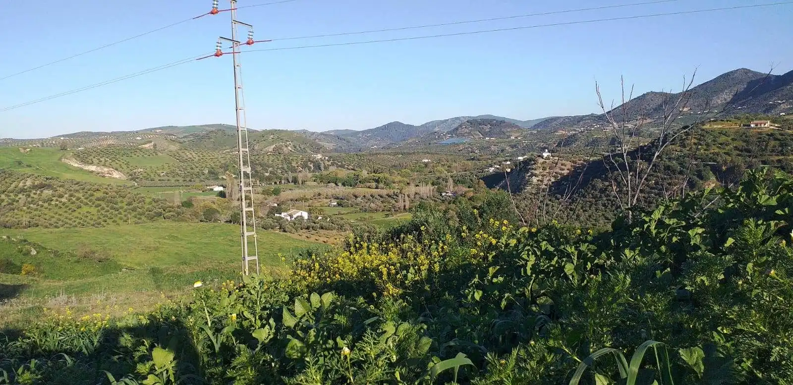 Terreny rústic en venda a Zahara, imagen 8