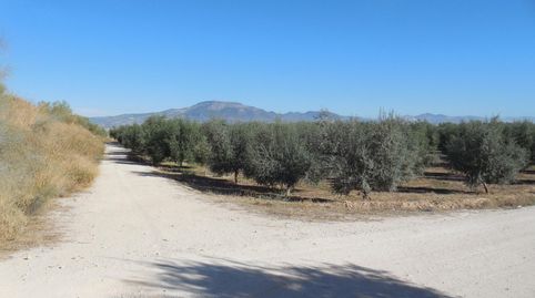 Foto 5 de Terreno en venta en Moraleda de Zafayona, Granada