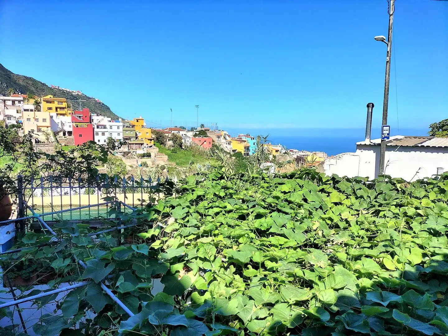 Jardín de Casa o chalet en venta en Los Realejos con Jardín privado y Trastero