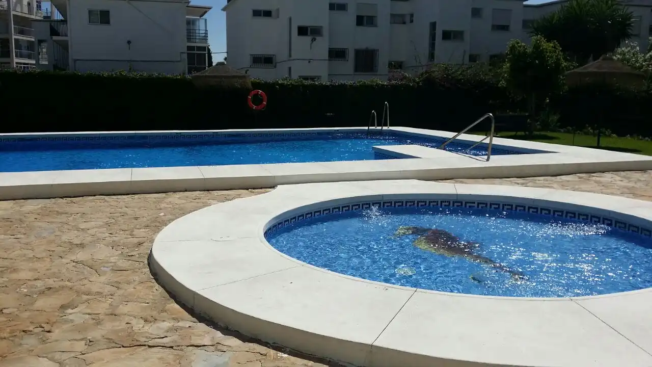 Swimming pool of Apartments for rent in Benalmádena  with Air Conditioner, Furnished and Community pool