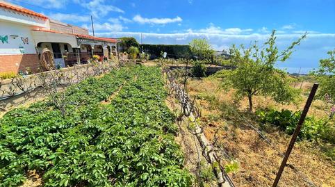 Foto 5 de Finca rústica en venta en Vistas, Fasnia, Santa Cruz de Tenerife