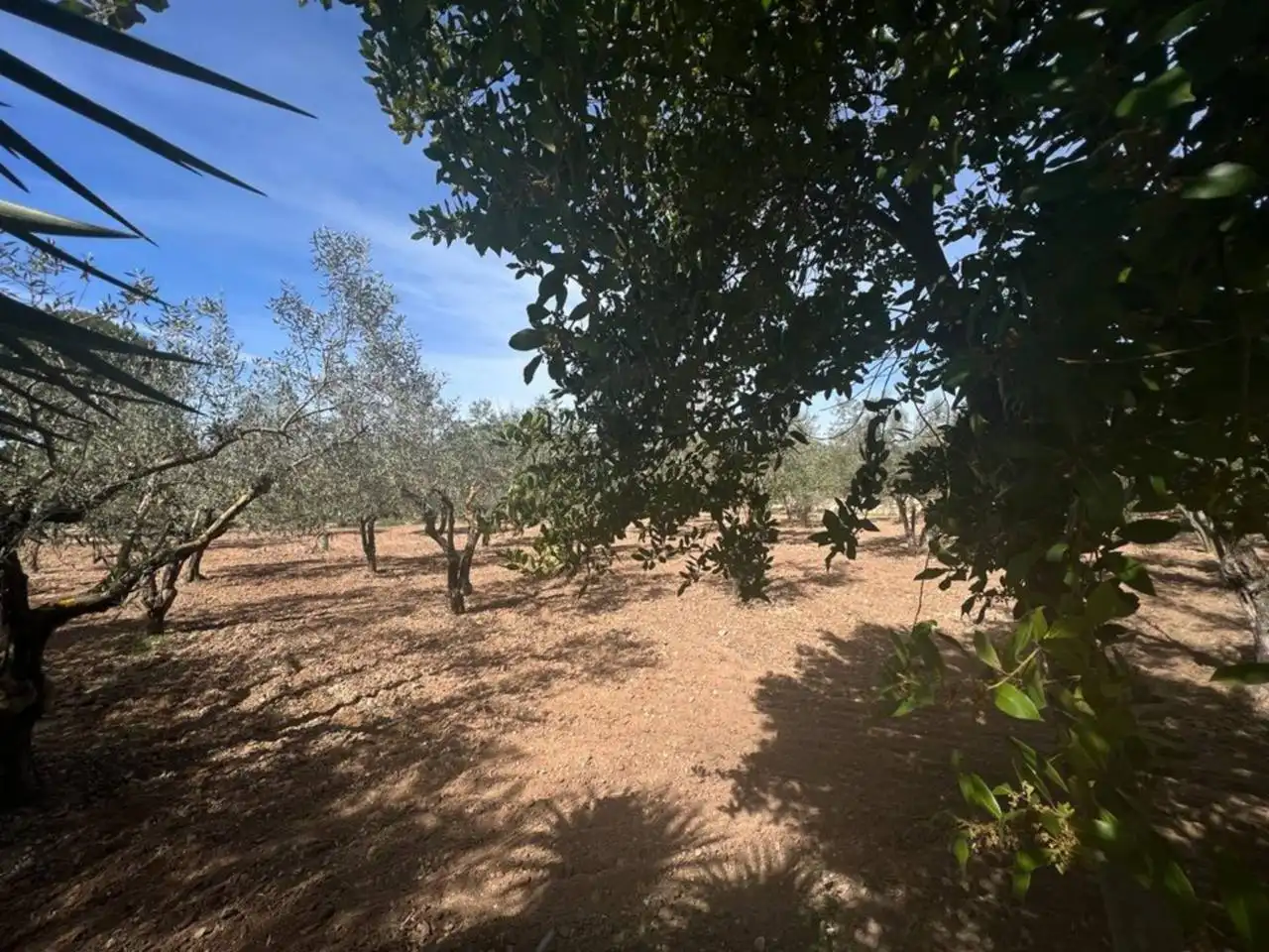 Chalet con jardín en venta en Calle Poligono, imagen 160