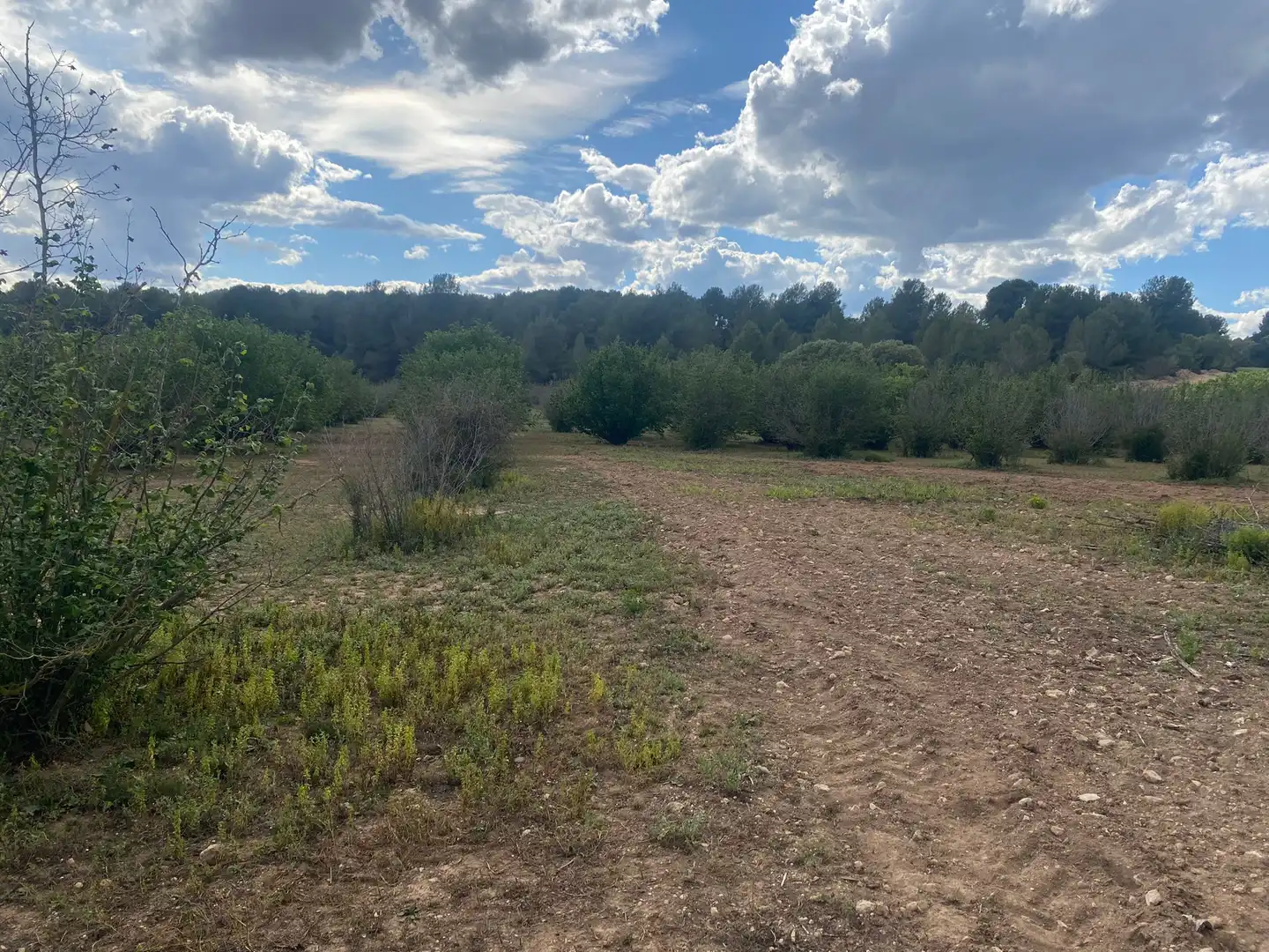 Terreno rustico in vendita a Perafort, imagen 13