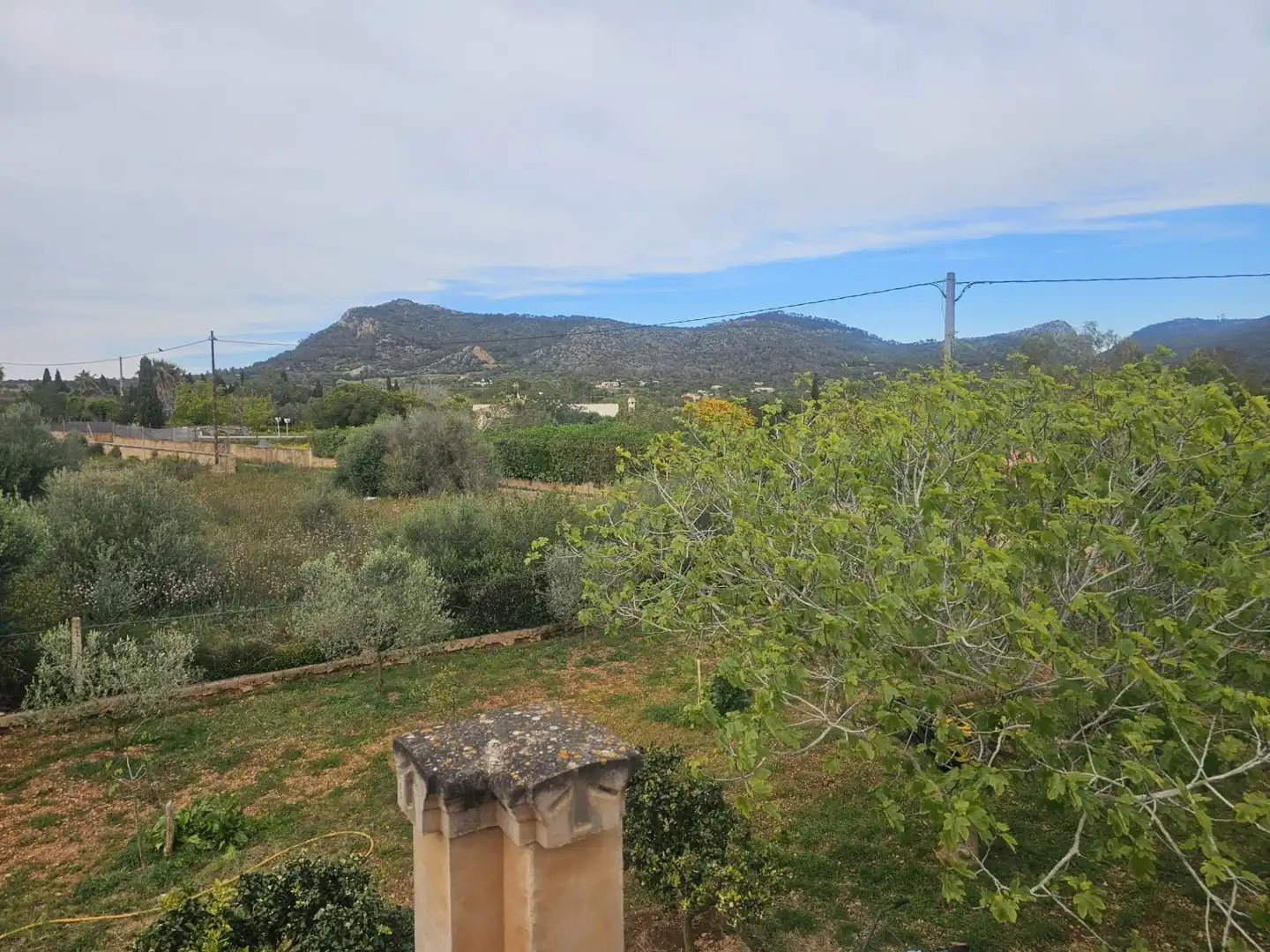 Maison rustique avec piscine à vendre à Llucmajor pueblo, imagen 35
