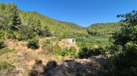 Foto 4 de Finca rústica en venda a N/a, Favara, Valencia
