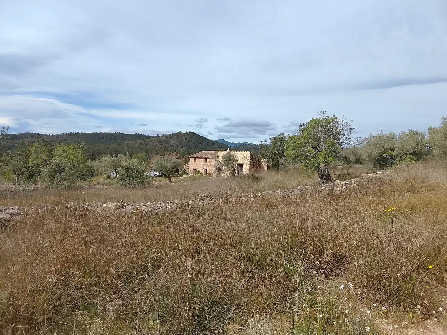 Casa rustica in vendita a Polígono 56 Paraje 586 PLANA DEL LLORELL, imagen 52