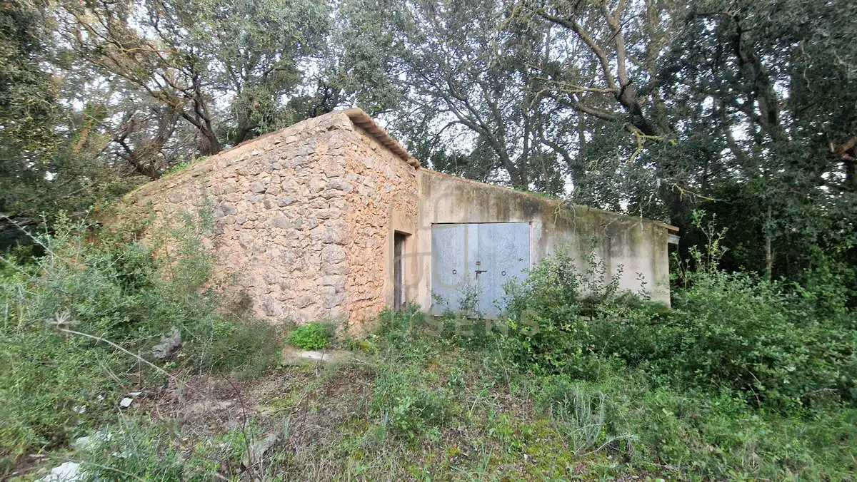 Terreny residencial en venda a Artà Poble, imagen 6