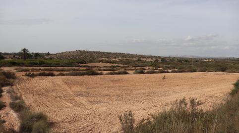 Foto 3 de Residencial en venta en Balsares, 9, Los Arenales del Sol, Alicante