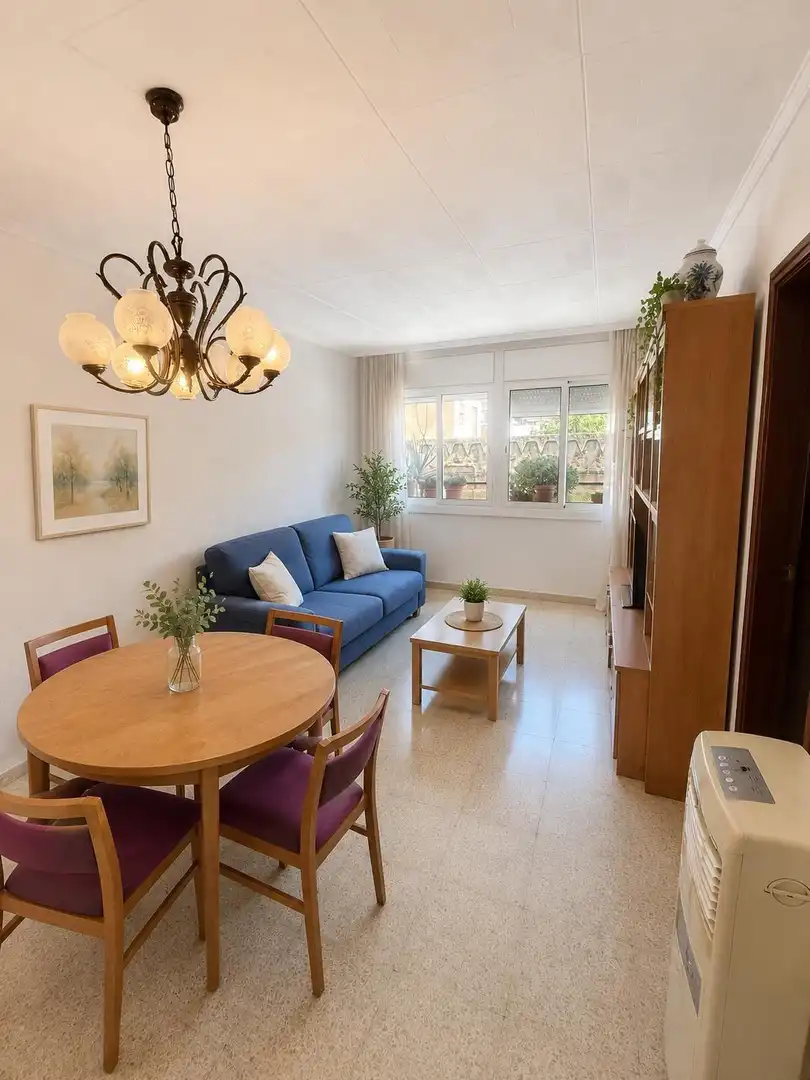 Sala d'estar de Planta baixa en venda en Barcelona amb Terrassa