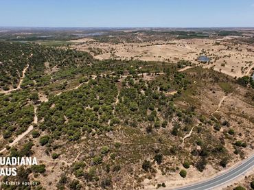 Rural land for sale in DISEMINADOS 12