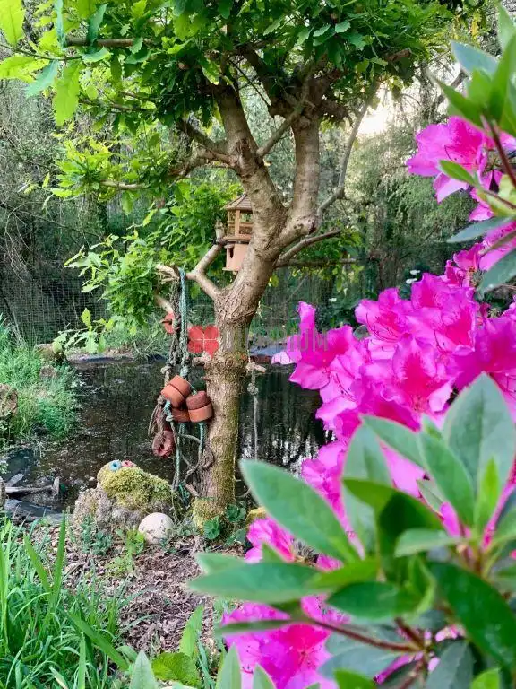 Jardí de Casa o xalet en venda en Ames amb Jardí privat