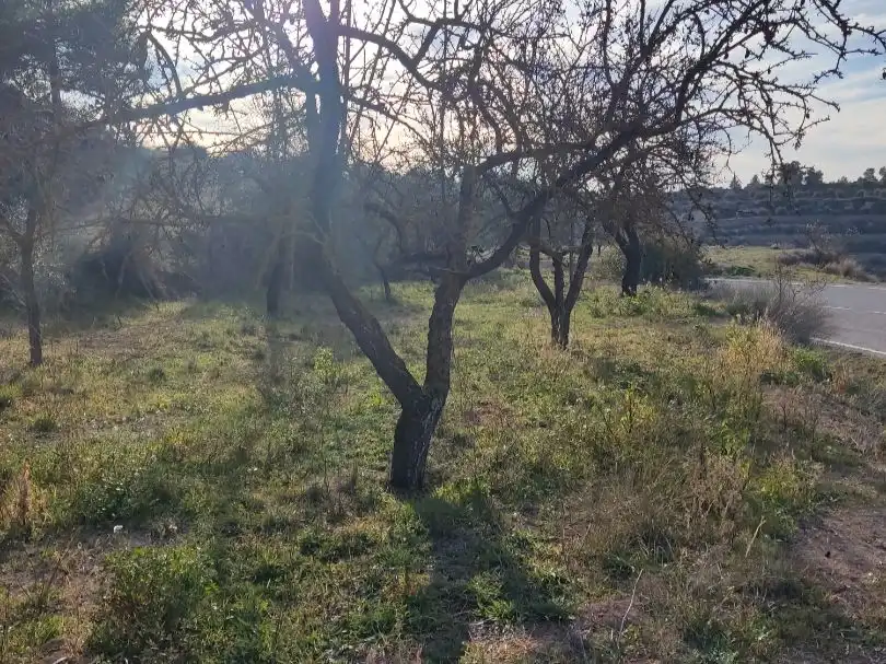 Terreny rústic en venda a Eres 0, imagen 21
