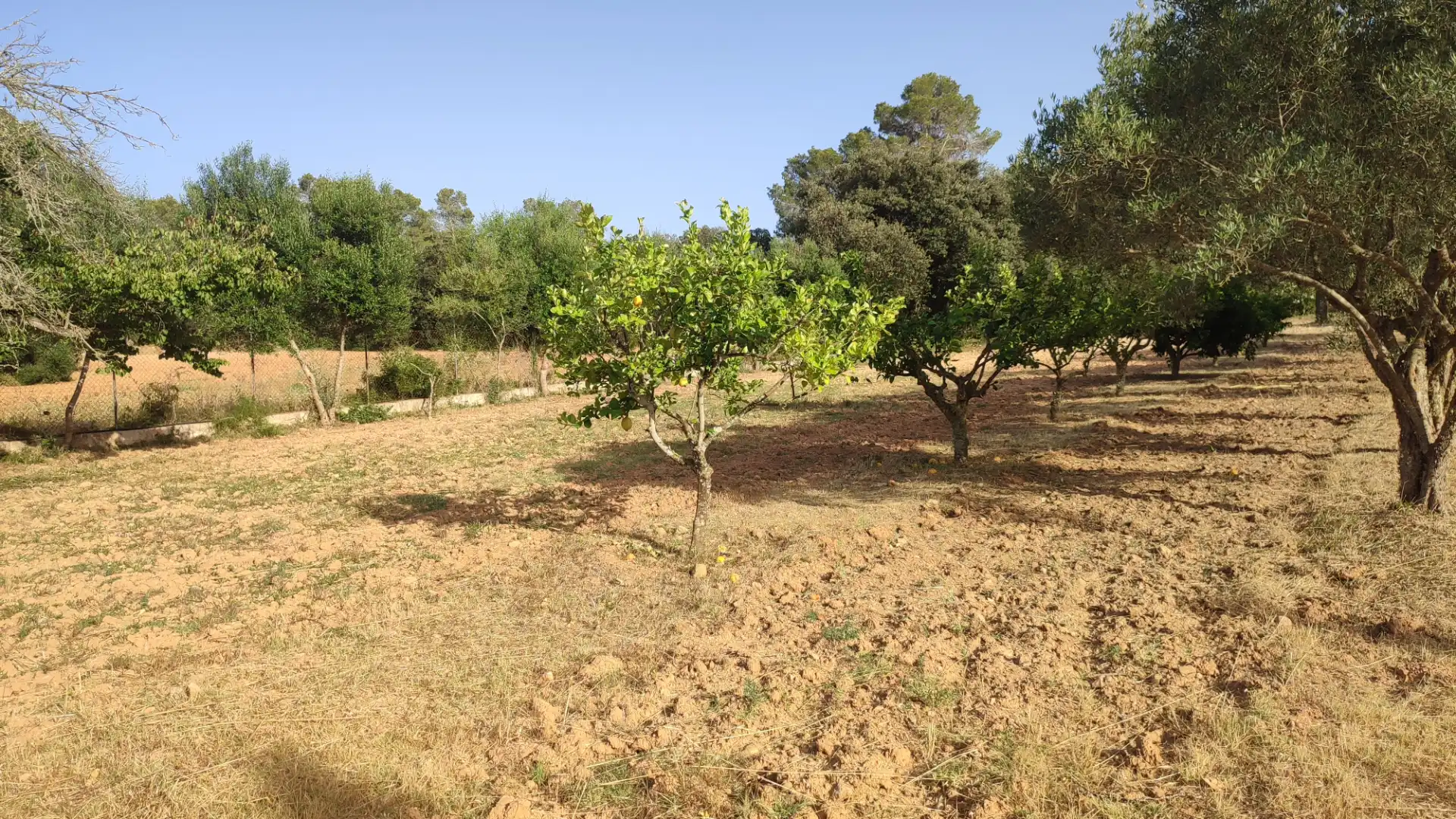 Villa avec piscine à vendre à Diseminado Diseminados Var 261, imagen 19