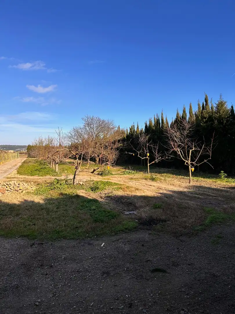 Rustikales Grundstück zum Verkauf in Camí dels Coixins 192, imagen 9
