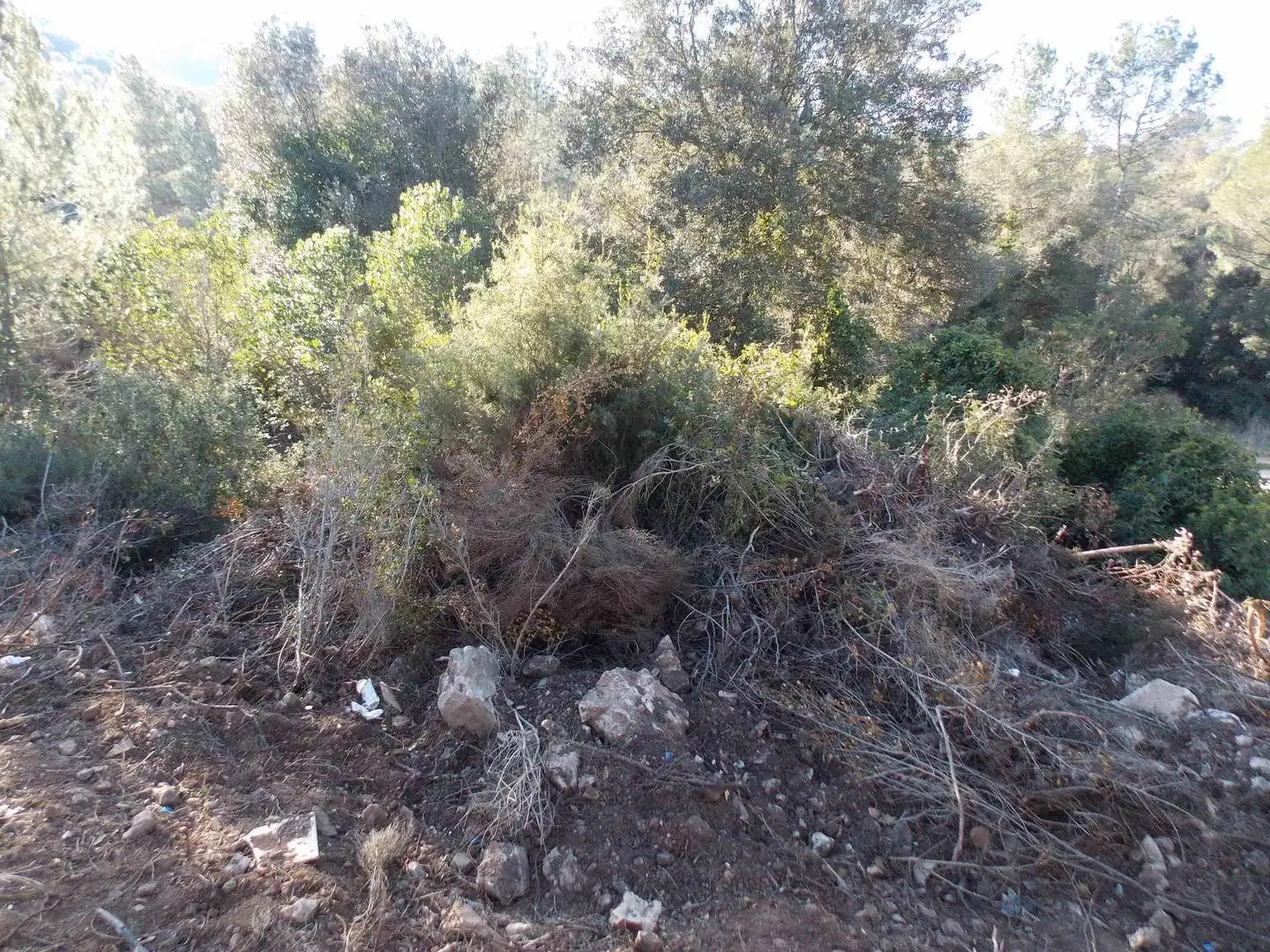 Terreny residencial en venda a Vallirana, imagen 7