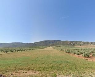 Land for sale in Píñar