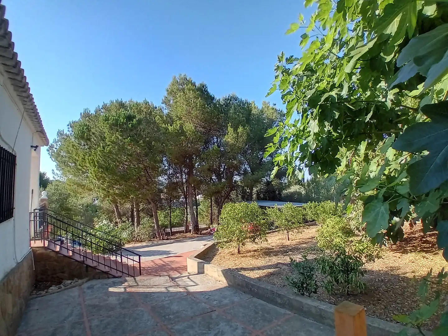 Jardín de Casa o chalet en venta en Godelleta con Jardín privado, Terraza y Piscina