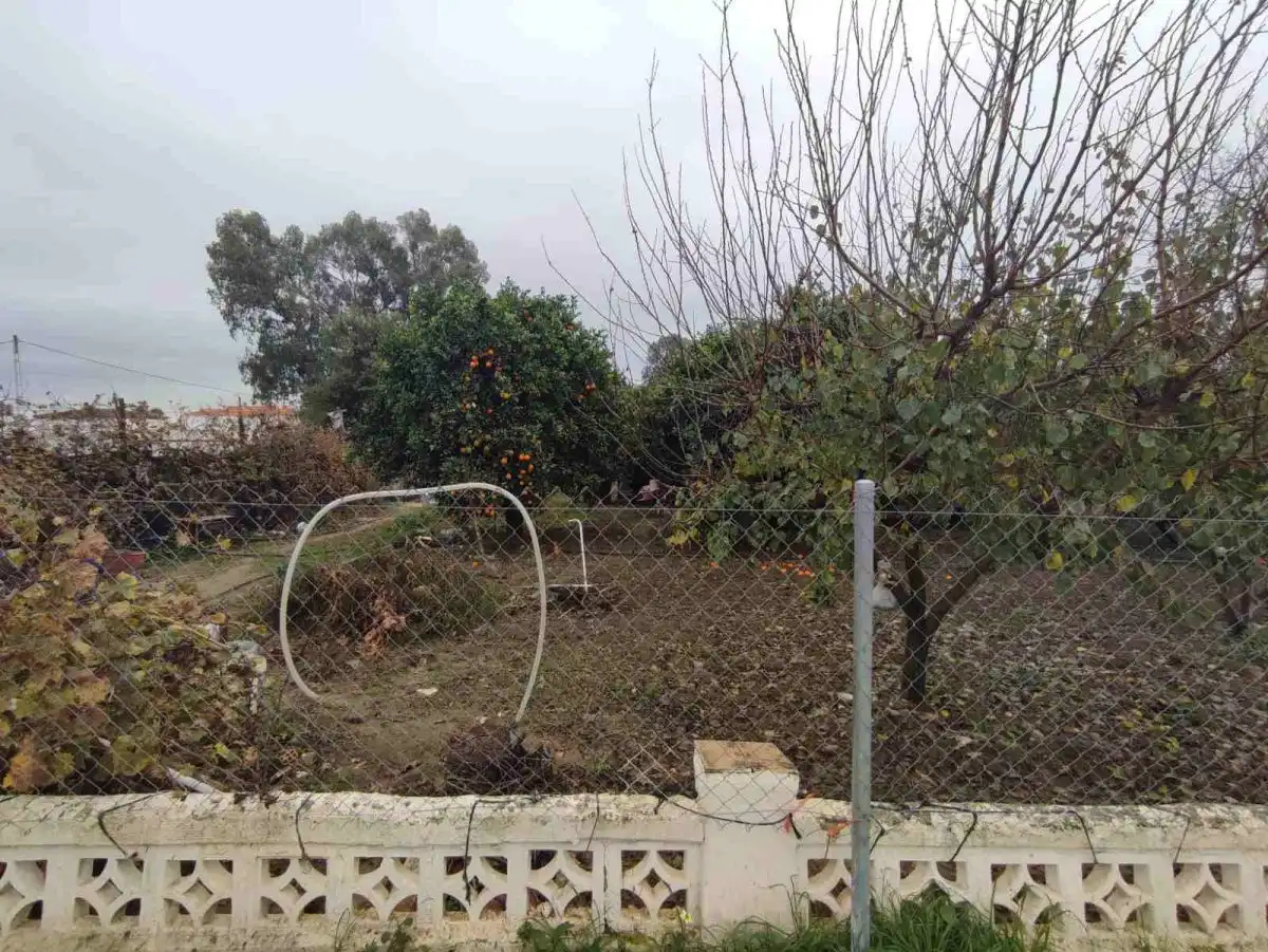 Chalet en venta en Olivares, imagen 3