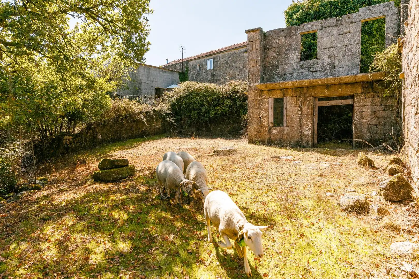 Country house with terrace for sale in TOXAL-COVELO, imagen 47