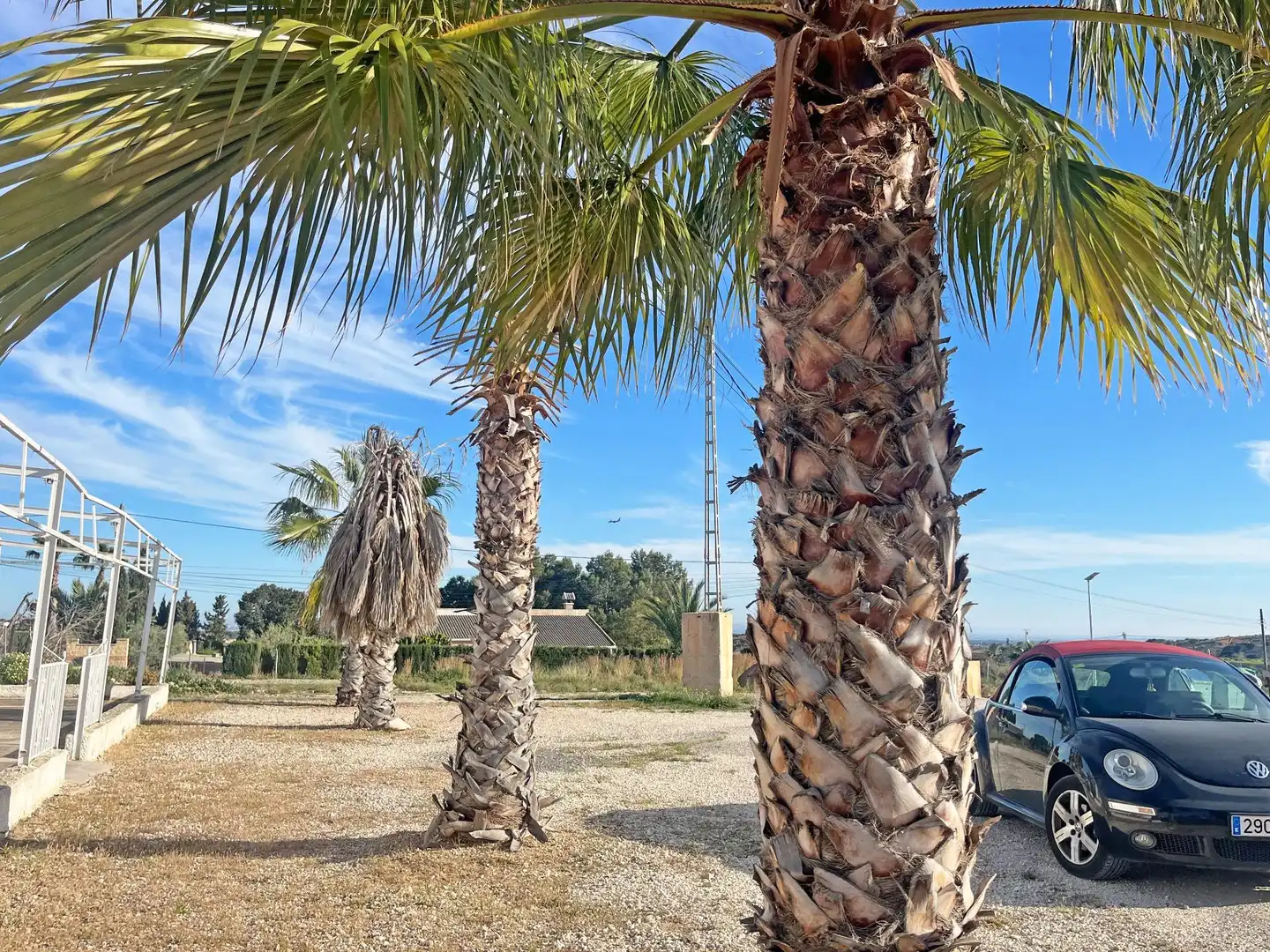 Vista exterior de Finca rústica en venta en Elche / Elx con Terraza