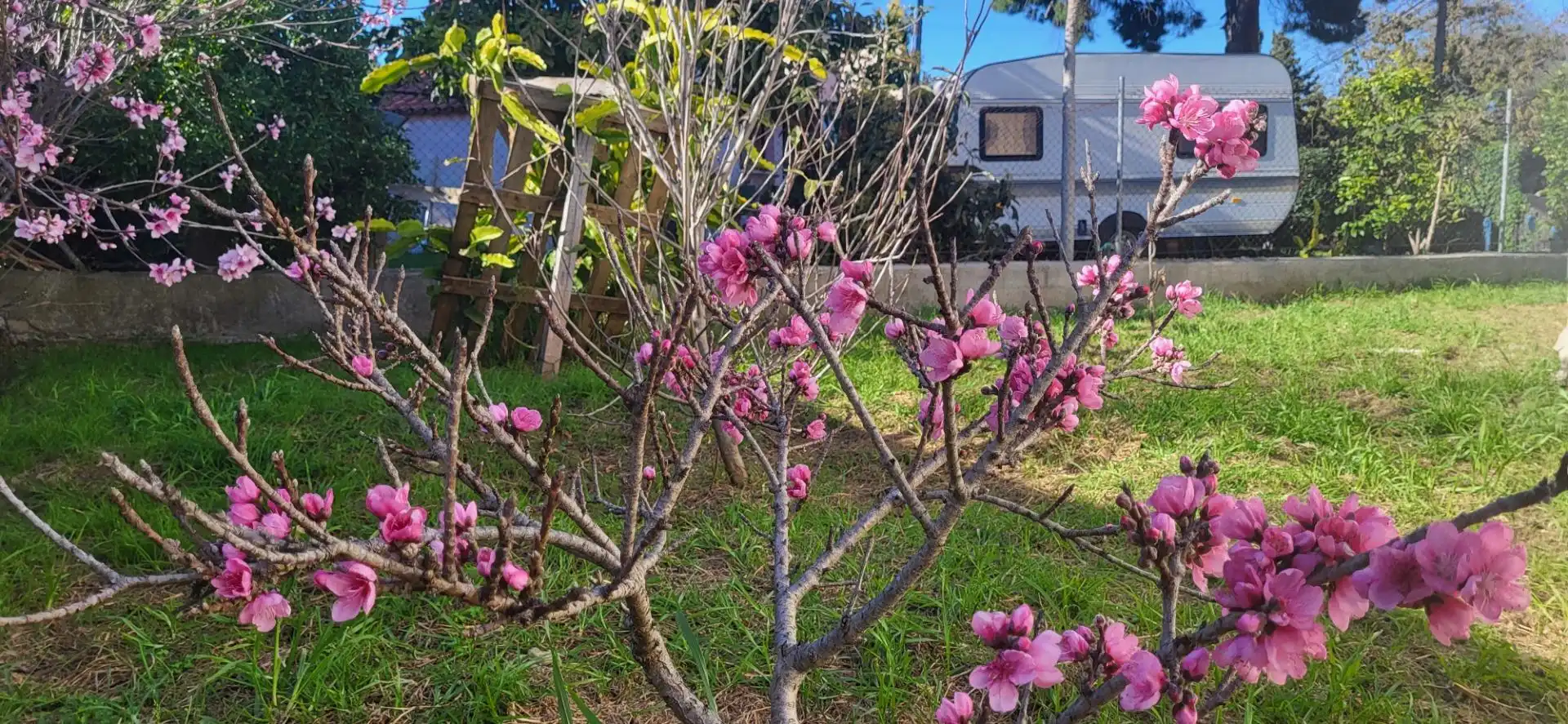 Chalet con jardín en venta en Benamara - Atalaya, imagen 21