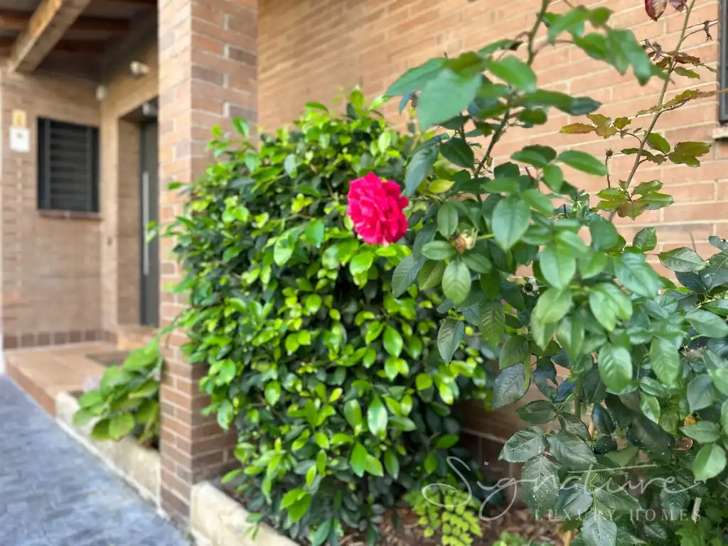 Houses for sale in Golf - Can Trabal