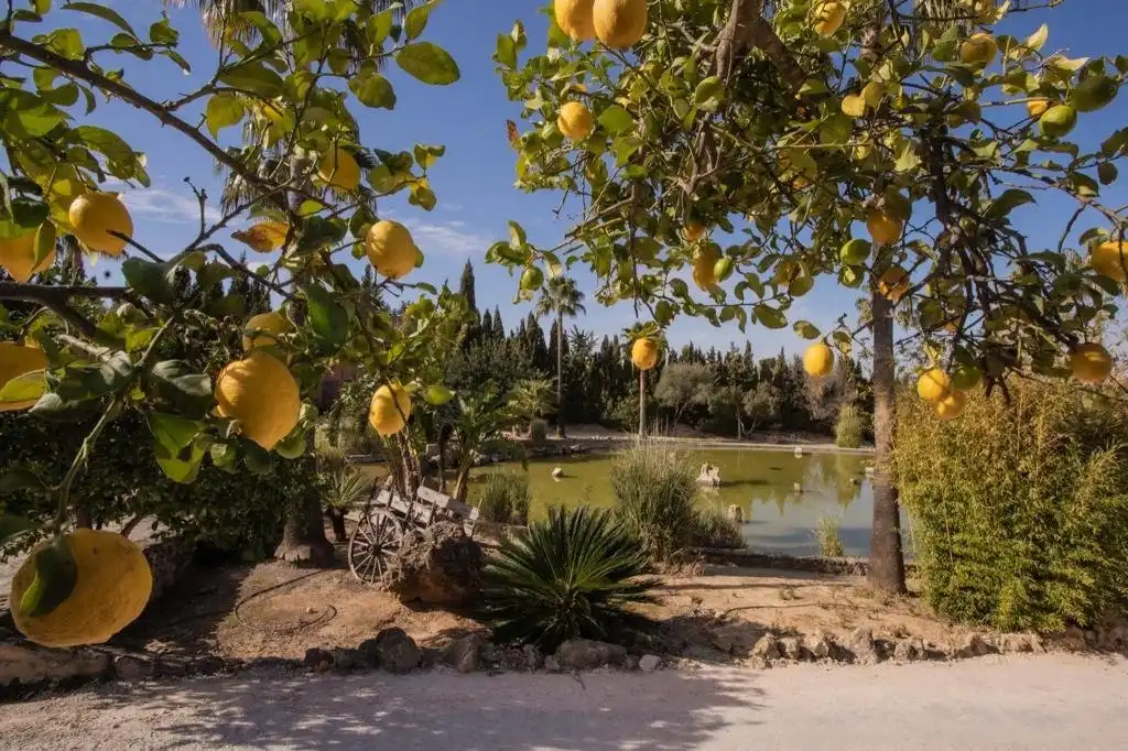 Jardí de Finca rústica en venda en Arcos de la Frontera amb Calefacció, Terrassa i Traster