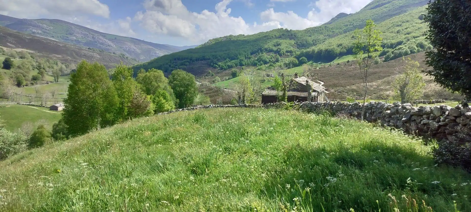 Terreny rústic en venda a Espinosa de los Monteros, imagen 4