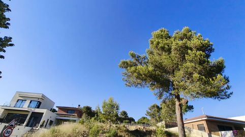 BEGUES BARCELONETA, imagen 3